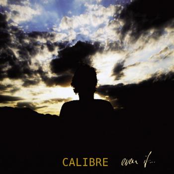 View other releases by Calibre - Even If LP
