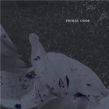 Primal Code - Konstrukt