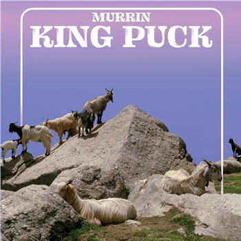 MURRIN - King Puck - Púca Sounds