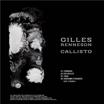 Gilles Renneson - Callisto - SPHERES