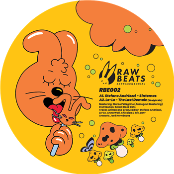 Various Artists - Rawbeats Extrasensorial 002 - Rawbeats Records