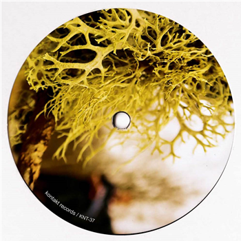 Matt Thibideau - SUBDUCTION & SHADOWS (CLEAR YELLOW VINYL)  - Kontakt Records