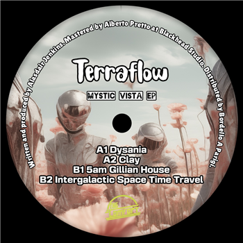 Terraflow - Mystic Vista EP - The Comfort