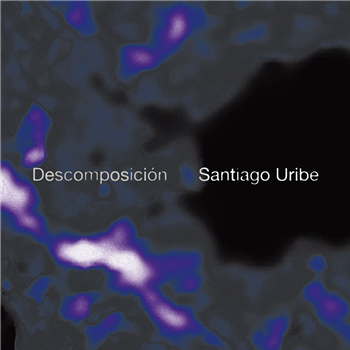 Santiago Uribe - Descomposicion LP -  2x12" - LITTLE BUTTERFLY RECORDS