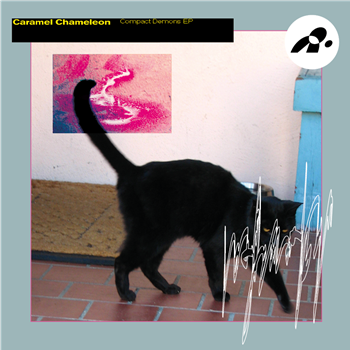 Caramel Chameleon - Compact Demons - NOTTETEMPO