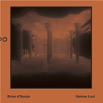 Brian dSouza - Genius Loci - A State of Flo