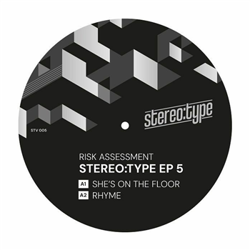 Risk Assessment - Stereo:type EP 5 - Stereo:type