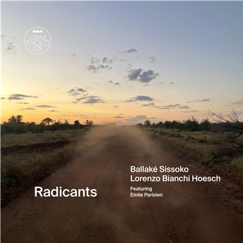 Various Artists - Radicants - Ornithology