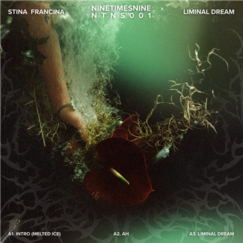 Stina Francina - Liminal Dream - NineTimesNine