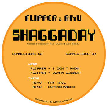 Flipper & Riyu - Shaggaday - Connections