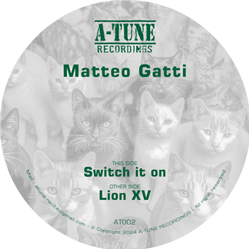 MATTEO GATTI - SWITCH IT - A-TUNE RECORDINGS