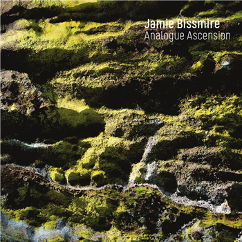 Jamie Bissmire - Analogue Ascension - No Signal