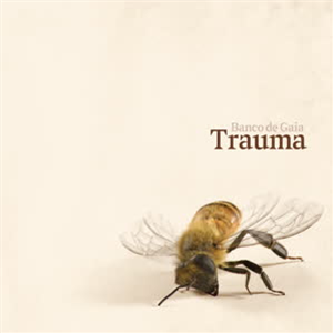 Banco de Gaia - Trauma - Disco Gecko Recordings