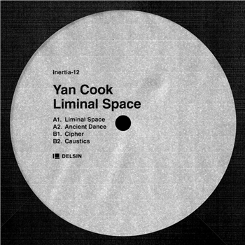 Yan Cook - Liminal Space - Delsin