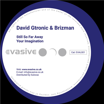 David Gtronic & Brizman - Still So Far Away / Your Imagination (Incl. Rob Pearson Remixes) - Evasive Records