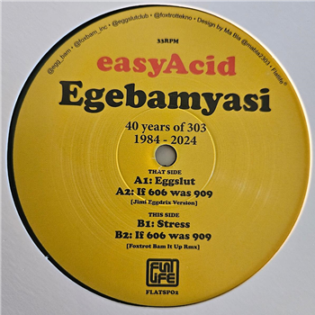 EgeBamYasi - Easy Acid – 40 Years of 303 (1984-2024) (Black 180gr Repress) - Flatlife Records