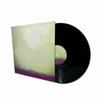 Inquiri / Bvdub - A Life In Setting Suns (180 gram audiophile vinyl LP limited to 200 copies) - Past Inside The Present