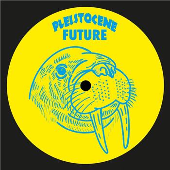 Dynamic Forces - Pleistocene Future 7 - Pleistocene Future