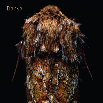 Danya - Sonata - incl. dl code - Sine Space 7