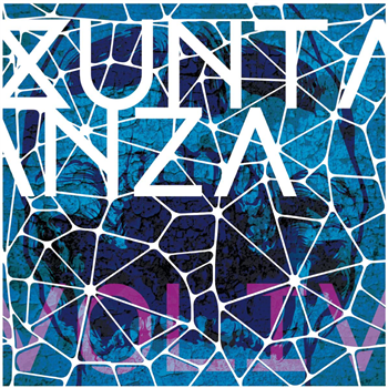 Various Artists - Xuntanza Vol. IV - Fanzine Records