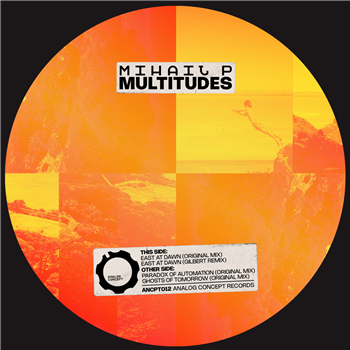 Mihail P - Multitudes - Analog Concept