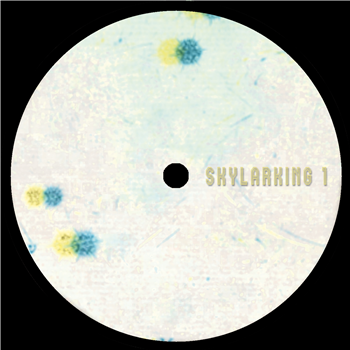 SL Jung - Coherence - Skylarking