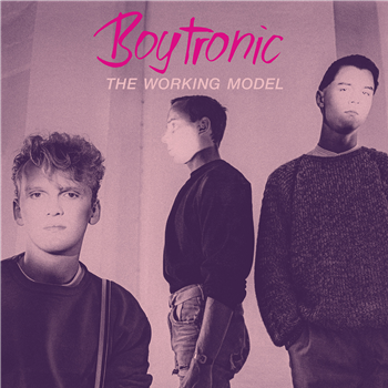 Boytronic - The Working Model 2LP - Mecanica