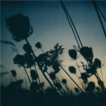 Awakened Souls / Benoit Pioulard / Zake - My Heart My Beloved (LP limited to 100 copies) - Past Inside The Present