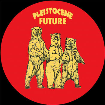 Lenson & 543ff - Pleistocene Future 8 - Pleistocene Future