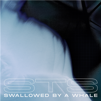 STS - Swallowed By A Whale (Incl. Danny Daze x Jonny From Space & Warzou Remixes) - Texture Records