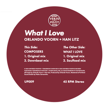 ORLANDO VOORN + HAN LITZ - WHAT I LOVE - Universo Positivo