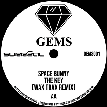 Radical Chic / Space Bunny - In Da Shadows (Terry Francis Remix) / The Key (Wax Trax Remix) - GEMS