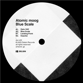 Atomic moog - Blue Scale - Delsin