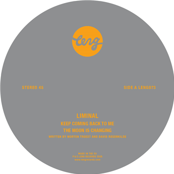 Liminal - Keep Coming Back to Me (+ Ray Mang Remix) - Leng