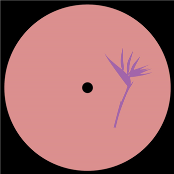 Daniel Meister - Lanao Izany EP [vinyl only] - Purple Print