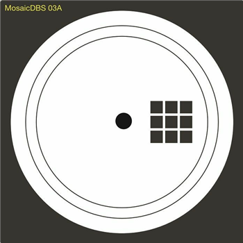 Yassin Omidi - Electronic Wave Function - Mosaic