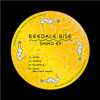 Reedale Rise - Shiho EP (inc. Big Strick Remix) - Lost Control