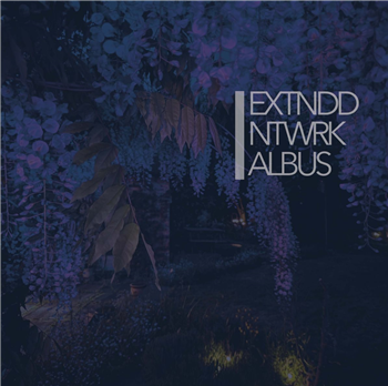 EXTNDDNTWRK - Albus - Blue Vinyl  - Fourth Dimension