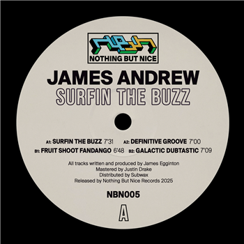 James Andrew - Surfin The Buzz - Nothing But Nice