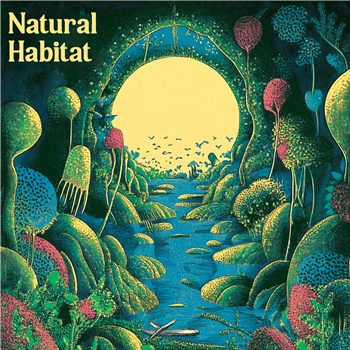 Indi Zone - Natural Habitat - Slow Life