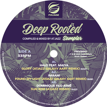 VARIOUS ARTISTS - DEEP ROOTED - VINYL SAMPLER - COMPILED & MIXED BY ATJAZZ - FOLIAGE RECORDS