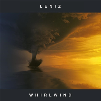 Leniz - Whirlwind EP [printed sleeve / black marbled vinyl] - Fokuz Recordings