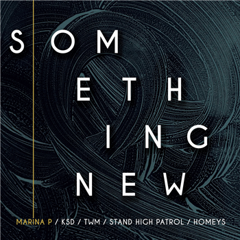 Homeys Records & Marina P present Something New EP - Homeys Records