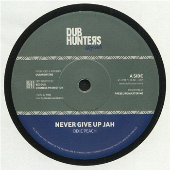 DIXIE PEACH / DUB HUNTERS - Never Give Up Jah (7") - Dubhunters