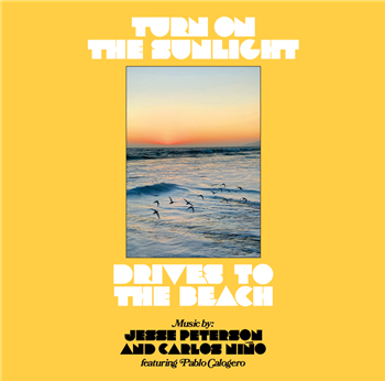 Turn On The Sunlight (Jesse Peterson & Carlos Niño Feat. Pablo Calogero) - Drives To The Beach LP - Tokonoma Records