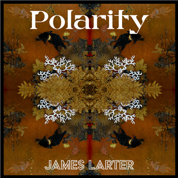 James Larter - Polarity - Next Door Records