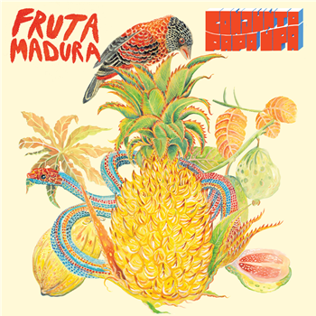 CONJUNTO PAPA UPA - FRUTA MADURA - MUSIC WITH SOUL