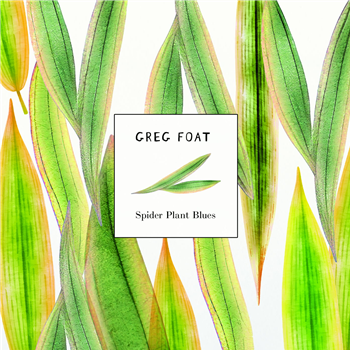 Greg Foat - Spider Plant Blues - Ameritz Music