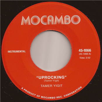 Tamer YiÄŸit - Uprocking - Mocambo