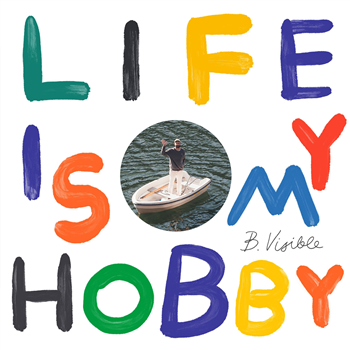 B.Visible - Life is my Hobby - Data Snacks